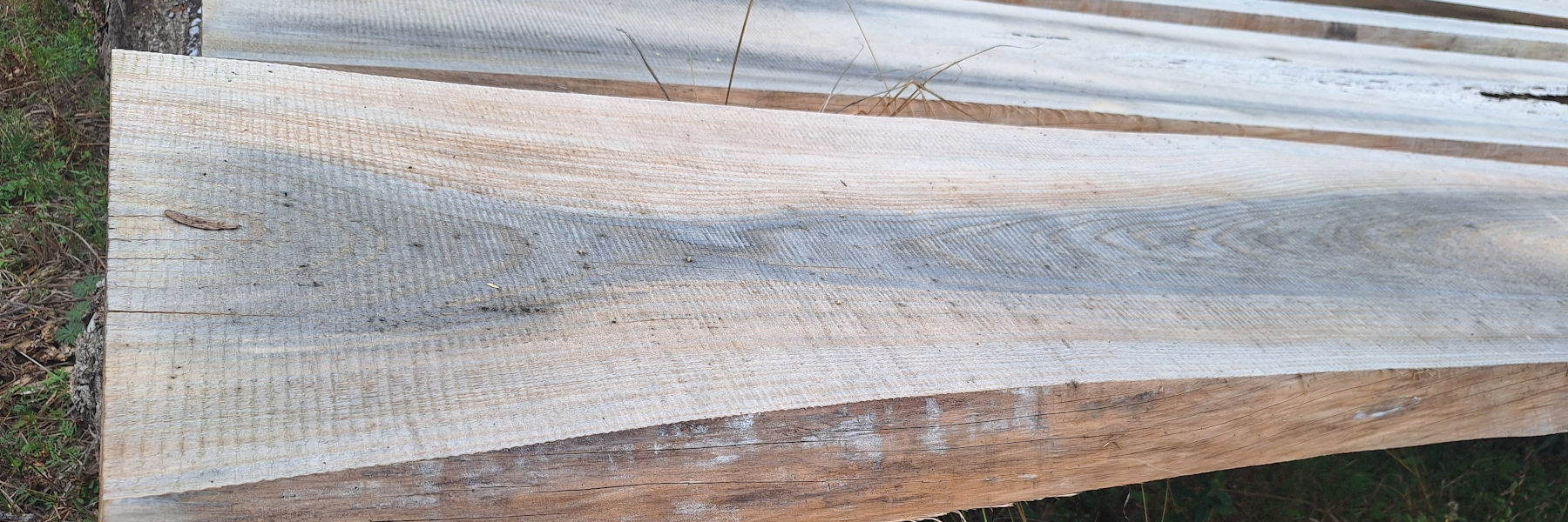 Standard Live Edge Slabs