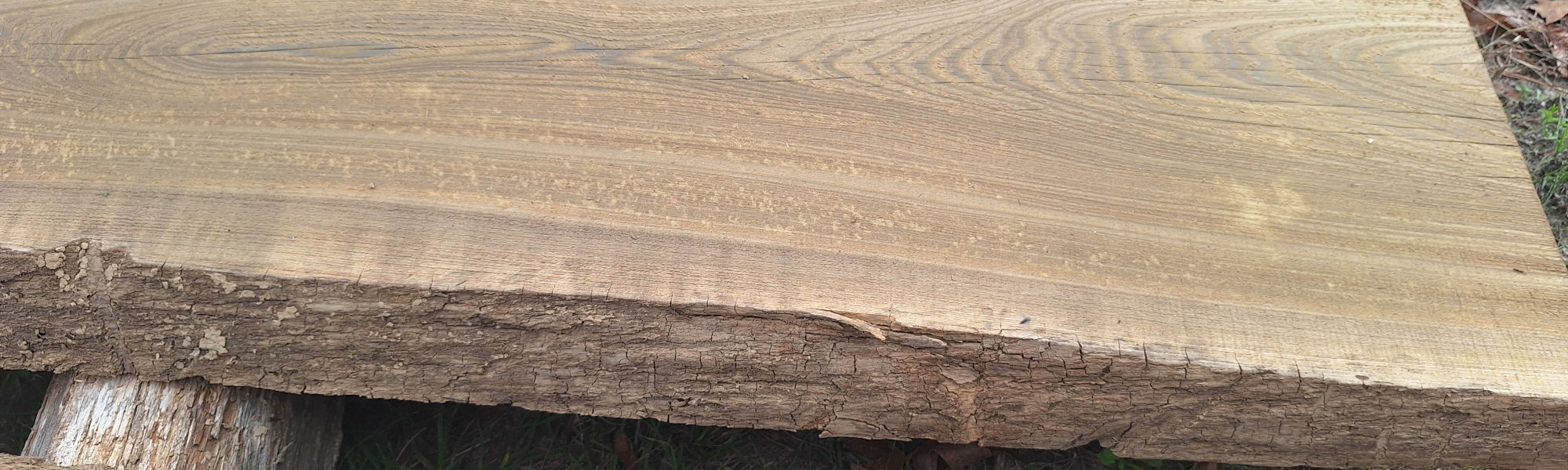Premium darker cypress slab